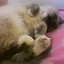 おかげさまで・・・