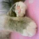 おかげさまで・・・