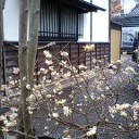 あれから１年半