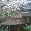 横浜観光案内