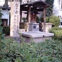 昨日の話題