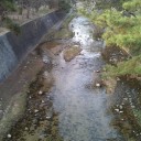 日曜日◆放浪劇