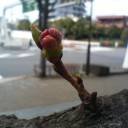 時間が足りません
