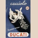 Cucciolo
