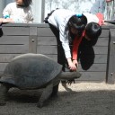 アクアトトぎふのひとコマ　～ドダイトス編～