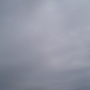 忙しくしています。