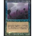 INTERVAL2：　ファイレクシア　VS　ドミナリア連合