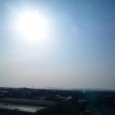 比べてみました