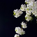よる