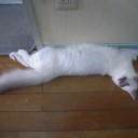 溺愛　親バカ　バカ親