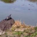 家族なんだよなぁ