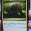 シャドーアート：芽吹くトリナクス