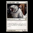 INTRODUCTION5：生き馬の目を抜く