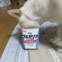新年度というのに・・・