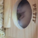 苦労してます
