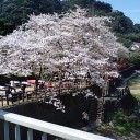 デートスポット