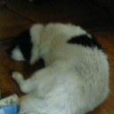 ど真ん中