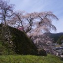 諸々の話（4/4）