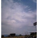 日本平さくらマラソン