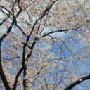 盛りだくさんの週末　→　風邪