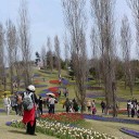 淡路花博2010