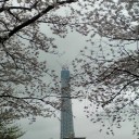 東京絶景発見