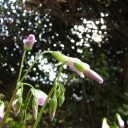 木曜〓残業とまたかと〓