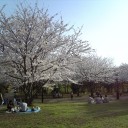 東京を観光してみよう。