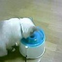 屈んだら・・・