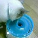 屈んだら・・・