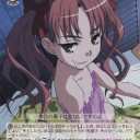 ＷＳ　なんだか面倒な事になったお