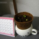 月曜〓修羅場と超勤と〓