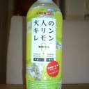 肉模擬へのチャレンジその３２