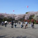 花塵