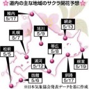 雪がチラついています
