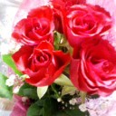 薔薇