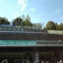 真央ちゃんのMasquerade、織田くんのSmile
