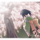蝙蝠と蠍のダンス