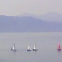 淡路島を背景にヨット