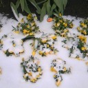 ４月の東京に雪