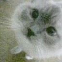 水琴窟が・・・