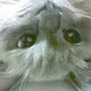 水琴窟が・・・