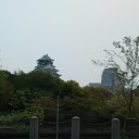 お花見3度目