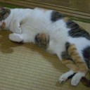 ありあまる富
