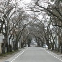 何となく少しだけ・・