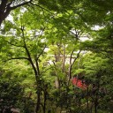 あったかくなってきましたね