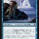 ネタのみ