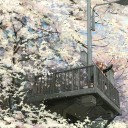 にんともかんとも