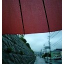 雨が降ると