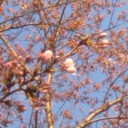 ちょっとした幸せと・・・・